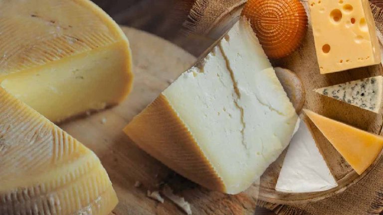 apres-ces-revelations-vous-allez-surement-arreter-de-consommer-du-fromage
