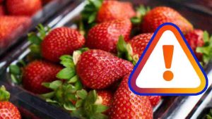 fraises-contaminees-qui-sont-les-departements-concernes