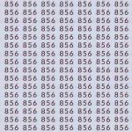Défi visuel : trouver le nombre caché ’836’ en 15 secondes